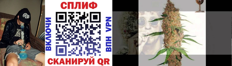 Бошки Шишки VHQ где продают Магас